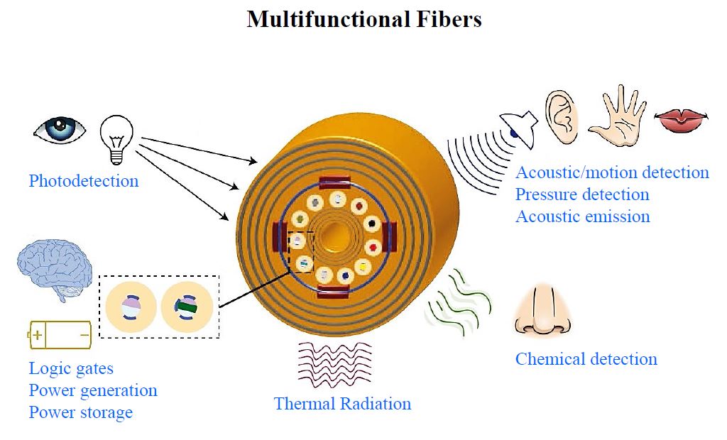 multifuncfiber.JPG