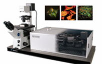 fluorescence lifetime imaging system